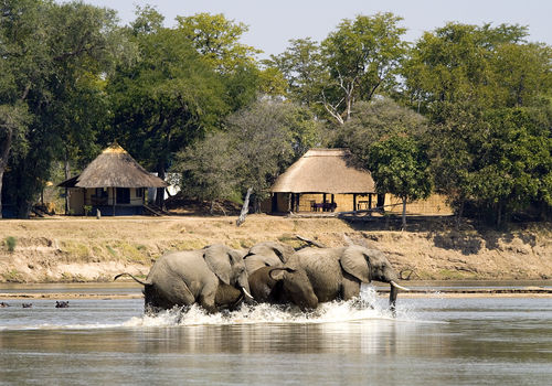 Robin Pope Safaris - Nsefu Camp 